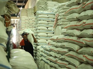 Ironi Sulawesi Selatan, Lumbung Padi Nasional Tapi Impor 70.000 Ton Beras