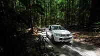 Fraser Island memiliki panorama alam nan istimewa, ada kolam renang alami, jalan offroad, hutan belantara yang jadi Warisan Dunia dan beberapa resor untuk menginap (Fraser Coast Tourism & Events) 