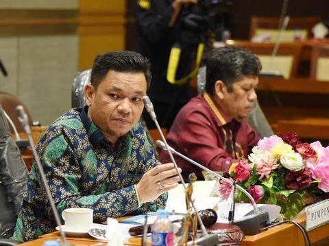 Ketua DPP Golkar, Tb Ace Hasan S.