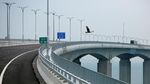 Megah! Jembatan Terpanjang di Dunia Sambungkan Hong Kong-Makau