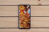Mengulik Mode Professional Kamera Vivo V11 Pro