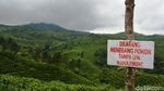 Foto: Kampung Bunga Probolinggo yang Cantik & Sejuk