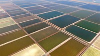 China bisa memproduksi garam secara besar-besaran. Xinhuanet.com/Istimewa.