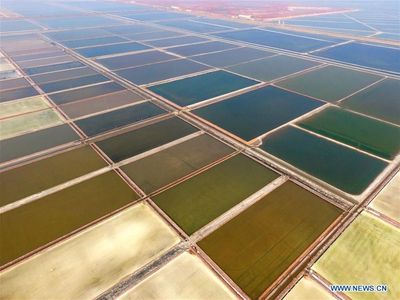 Penampakan Tambak Garam Raksasa di China