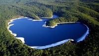 Danau McKenzie di Fraser Island tampak dari atas. Suasana belantara hijau menutupi pulau tersebut (Fraser Coast Tourism & Events) 