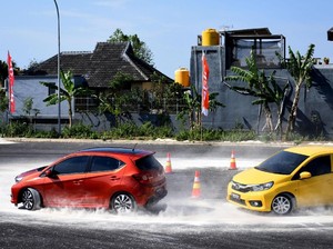 Punya Tampang Baru, Brio Laku Keras