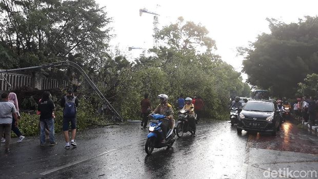 Pohon Beringin Tumbang Menimpa Mobil di Depan Sriwedari Solo