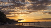 Keunikan ketiga Fraser Island adalah rumah bagi ras anjing dingo termurni yang tersisa di Australia timur. Kembali ke tur Pangeran Harry dan Meghan, para penduduk lokal memang telah menunggu kedatangan keduanya di Fraser Island. Inilah kunjungan resmi pertama mereka (Fraser Coast Tourism & Events)