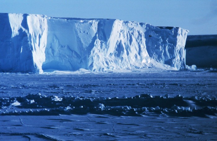 Ross ice shelf, antartika Ross ice shelf, antartika