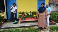 Yayuk (32), salah seorang warga setempat mengungkapkan, para warga berlomba-lomba untuk menanam bunga di halaman rumah karena setiap tahun ada penilaian dari pihak desa. (Rofiq/detikTravel)
