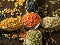 Agar Diet Tak Gagal, Jangan Lupa Mengasup 6 Vitamin dan Mineral Ini