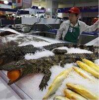 Serba Tak Biasa! Ada Buaya Beku hingga Susu Kuda di Supermarket China