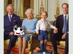 Bobby, Kucing Kesayangan Prabowo yang Eksis di Instagram