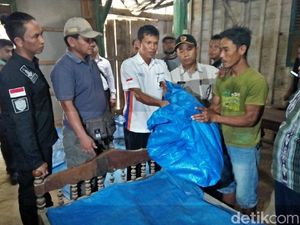 Terungkap Identitas Kerangka Manusia di Hutan Blora