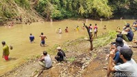 Beginilah keseruan tradisi Ngawide di Ciamis. Di acara ini, traveler bisa ikutan menangkap ikan pakai tangan kosong. (Dadang/detikTravel)