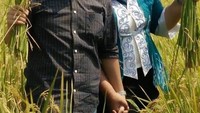 Kabupaten Bekasi memang masih memiliki sawah padi yang cukup luas. Kali ini Neneng terlihat sedang asyik panen padi bersama suami tercintanya. Duh mesra banget! Foto: instagram @nenenghasanahyasin