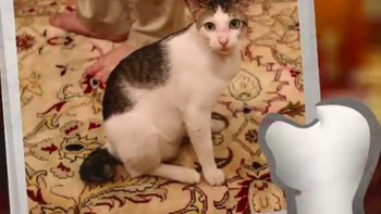 Tapi tak melulu gambar animasi, Bobby juga membagikan foto dirinya yang asli.  Foto: instagram.com/bobbythek4t/