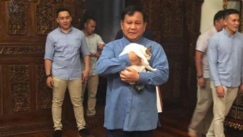 Hal tersebut terlihat ketika Prabowo kerap membawa dengan menggendong-gendong kucing di berbagai acara. Foto: instagram