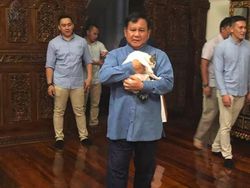 Bobby, Kucing Kesayangan Prabowo yang Eksis di Instagram