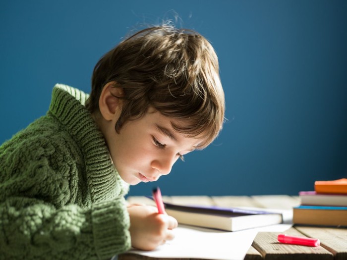 ilustrasi anak menulis diary