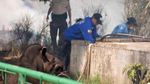Kebakaran Hutan, Ratusan Hewan di Kebun Binatang Ekuador Dievakuasi