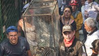 Pihak kepolisian pun masih menyelidiki penyebab terjadinya kebakaran hutan tersebut. Berdasar pada sebuah video yang beredar di jejaring sosial kebakaran hutan yang terjadi di Banos de Agua bermula dari aksi tak bertanggung jawab sejumlah pengunjung hutan tersebut. Sejumlah bukti dan saksi pun masih dikumpulkan oleh pihak kepolisian setempat. Jackson Zamora/via Reuters.