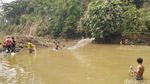 Foto: Jagoan! Tradisi Tangkap Ikan Pakai Tangan Kosong di Ciamis