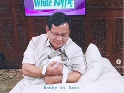 Bobby, Kucing Kesayangan Prabowo yang Eksis di Instagram