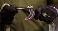 (ARUN SANKAR/Getty Images/BBC Travel)
