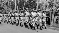 Tentara sedang berbaris di sebuah ruas jalan di Jakarta pada tahun 1960. Para pemuda memilih menjadi tentara untuk membela NKRI. Three Lions/Getty Images