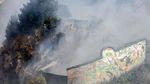 Kebakaran Hutan, Ratusan Hewan di Kebun Binatang Ekuador Dievakuasi