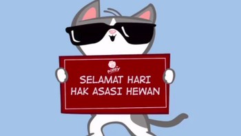 Meski demikian banyak netizen yang gemas terhadap kehadian kucing ini. Foto: instagram.com/bobbythek4t/