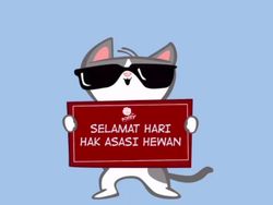 Bobby, Kucing Kesayangan Prabowo yang Eksis di Instagram