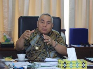 Respons Gubernur Kaltim soal 2 Kabupaten Jadi Ibu Kota Baru RI