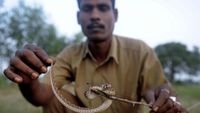 (ARUN SANKAR/Getty Images/BBC Travel)