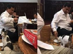 Bobby, Kucing Kesayangan Prabowo yang Eksis di Instagram