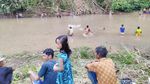 Foto: Jagoan! Tradisi Tangkap Ikan Pakai Tangan Kosong di Ciamis