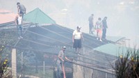 Kebakaran hutan itu diketahui terjadi pada Minggu (21/10/2018) lalu. Petugas pemadam kebakaran bersama warga dan petugas pemadam kebakaran berupaya mengevakuasi hewan-hewan yang berada di kebun binatang tersebut. Jackson Zamora/via Reuters.