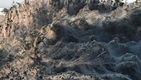 Laba-laba ini tidak beracun kok. Tapi seisi kawasan jadi diselimuti jaring laba-laba. (REUTERS/Alexandros Avramidis)
