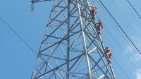 Kembalinya pasokan listrik juga mulai dirasakan oleh sebagian besar masyarakat di Palu dan sekitarnya. Kini warga sudah mulai banyak yang kembali ke rumah, roda perekonomian pun kini kembali berputar seiring dengan aktivitas jual beli masyarakat yang kembali tampak. Pool/PLN.