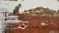 Petugas menurunkan sampah di tempat penampungan sementara di Sunter.