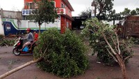 Berdasarkan informasi dari Pusat Badai Nasional (NHC) mengenai badai itu, ribuan orang dievakuasi sebelum Badai Willa tiba di pesisir Meksiko. Hal tersebut dilakukan guna meminimalkan jatuhnya korban jiwa akibat hantaman angin kencang dan banjir yang kemungkinan terjadi saat Badai Willa menerjang wilayah pesisir Meksiko. Henry Romero/Reuters.