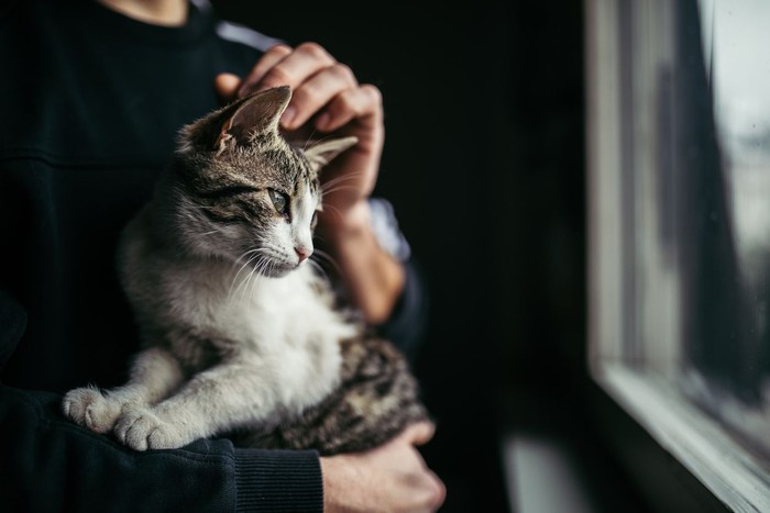 Asian man with elder cat lying on chest at home.