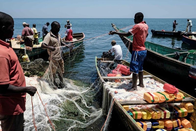 Pulau terpadat di Afrika