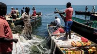 Mayoritas penduduk di Migingo berprofesi sebagai nelayan. Mereka menangkap ikan di siang hari. Ikan yang ditangkap adalah ikan air tawar. (Yasuyoshi Chiba/AFP/Getty Images)