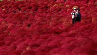(REUTERS/Toru Hanai)