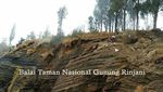 Foto Terkini Longsor di Jalur-jalur Pendakian Gunung Rinjani