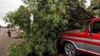 Pohon-pohon pun tumbang menghancurkan barang-barang yang ada di sekitarnya, termasuk diantaranya sebuah mobil yang rusak parah akibat tertindih pohon. Henry Romero/Reuters.