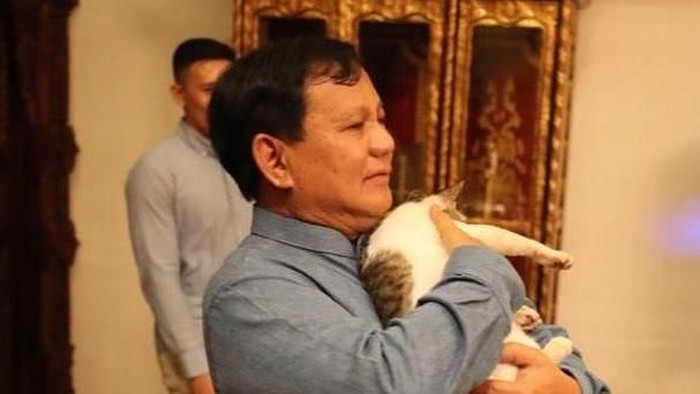Prabowo dan Bobby The Cat (Instagram Prabowo)