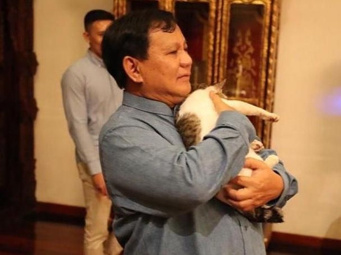 Prabowo dan Bobby The Cat (Instagram Prabowo)